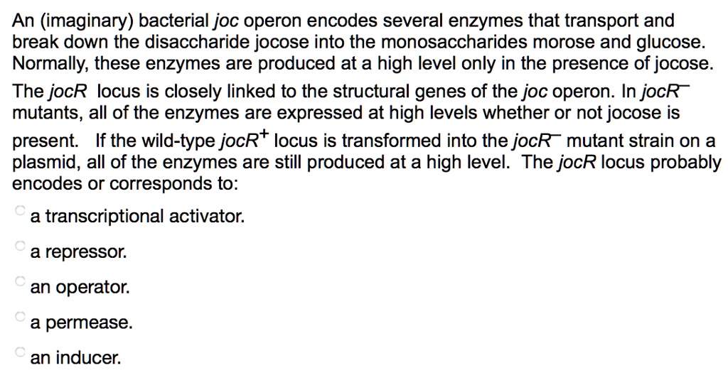 SOLVED An (imaginary) bacterial joc operon encodes several enzymes