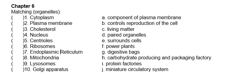 Chapter 6
Matching (organelles):
( )1. Cytoplasm
( )2. Plasma membrane
( )3. Cholesterol
( )4. Nucleus
( )5. Centrioles
( )6. Ribosomes
( )7. Endoplasmic Reticulum
( )8. Mitochondria
( )9. Lysosomes
( )10. Golgi apparatus
a. component of plasma membrane
b. controls reproduction of the cell
c. living matter
d. paired organelles
e. surrounds cells
f. power plants
g. digestive bags
h. carbohydrate producing and packaging factory
i. protein factories
j. miniature circulatory system
