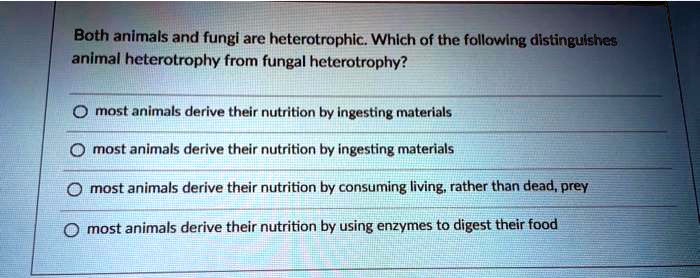 Both animals and fungi are heterotrophic. Which of the following distinguishes animal heterotrophy from fungal heterotrophy?

most animals derive their nutrition by ingesting materials
most animals derive their nutrition by ingesting materials
most animals derive their nutrition by consuming living, rather than dead, prey
most animals derive their nutrition by using enzymes to digest their food