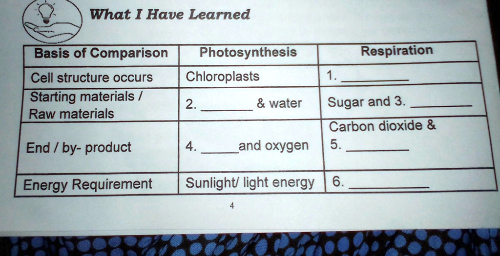 What I Have Learned Basis of Comparison Photosynthesis Respiration 