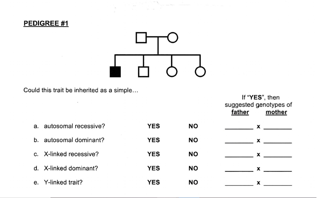 SOLVED: PLEASE ANSWER ALL PARTS FROM A THROUGH E. PEDIGREE #1 Could ...