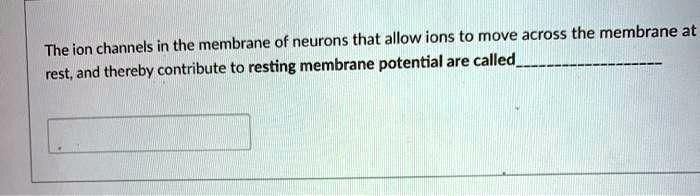 The ion channels in the membrane of neurons that allow ions to move across the membrane at
rest, and thereby contribute to resting membrane potential are called