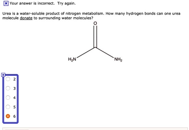 SOLVED: Your answer is Incorrect: Try again Urea is water-soluble