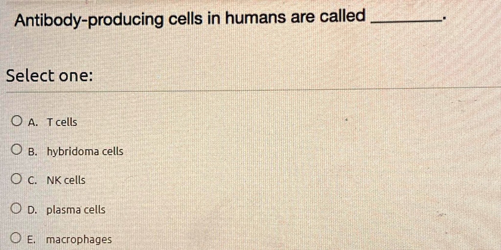 SOLVED Antibodyproducing cells in humans are called Select one A. T