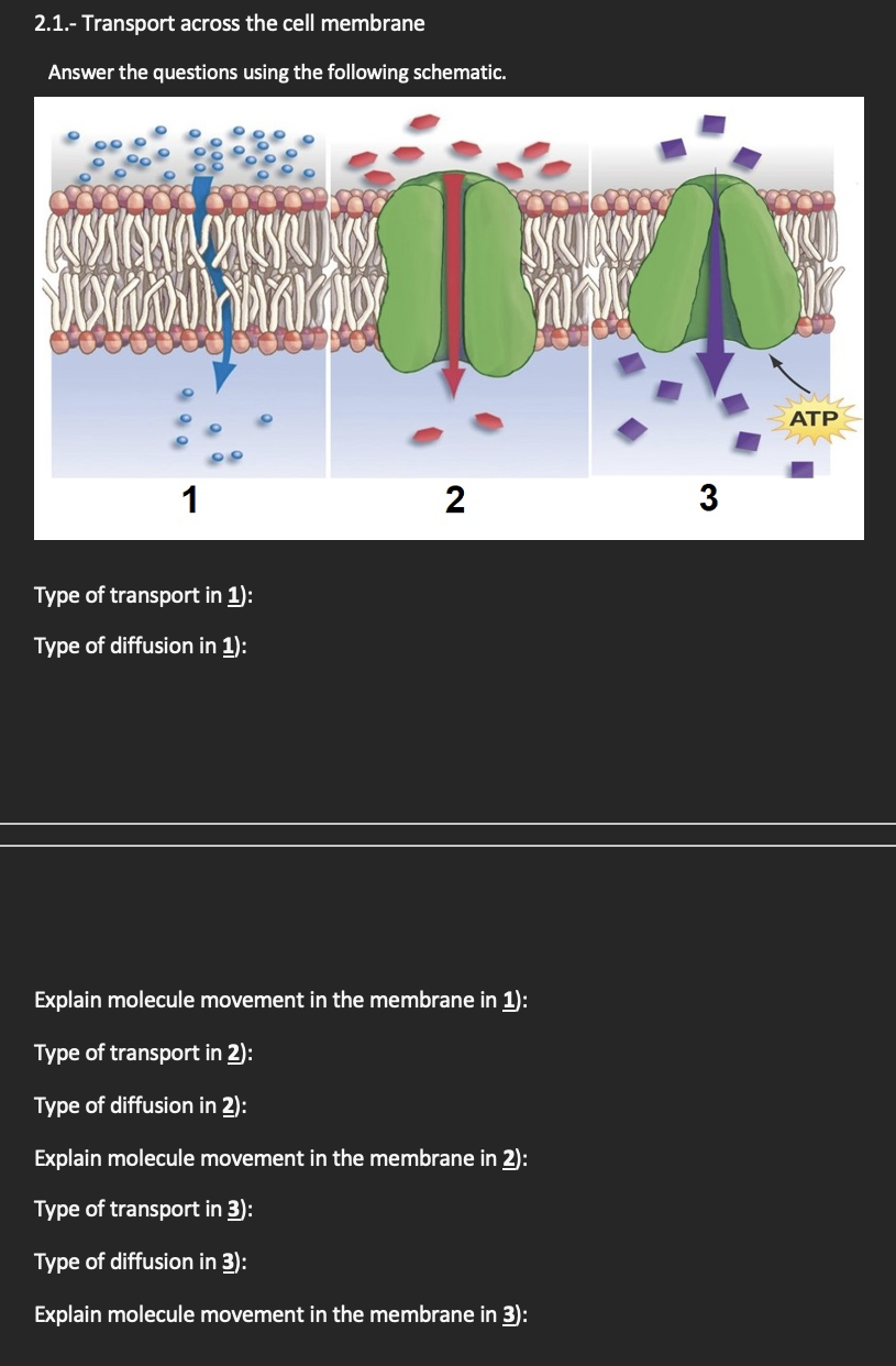 2.1.- Transport across the cell membrane Answer the questions using the ...