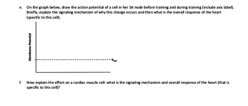 e. On the graph below, draw the action potential of a cell in her SA node before training and during training (include axis label). Briefly, explain the signaling mechanism of why this change occurs and then what is the overall response of the heart (specific to this cell).
Membrane Potential
Vrest
f. Now explain the effect on a cardiac muscle cell: what is the signaling mechanism and overall response of the heart (that is specific to this cell)?