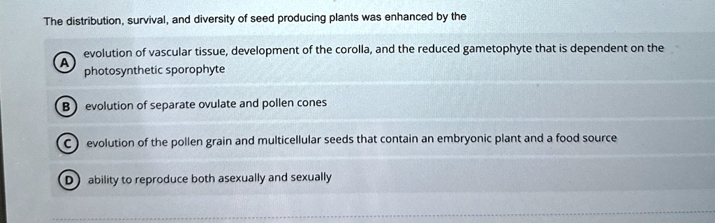The distribution, survival, and diversity of seed producing plants was enhanced by the
A evolution of vascular tissue, development of the corolla, and the reduced gametophyte that is dependent on the
photosynthetic sporophyte
B evolution of separate ovulate and pollen cones
C evolution of the pollen grain and multicellular seeds that contain an embryonic plant and a food source
D ability to reproduce both asexually and sexually