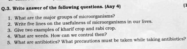 Q.3. Write answer of the following questions. (Any 4)
1. What are the major groups of microorganisms?
2. Write five lines on the usefulness of microorganisms in our lives.
3. Give two examples of kharif crop and rabi crop.
4. What are weeds. How can we control then?
5. What are antibiotics? What precautions must be taken while taking antibiotics?