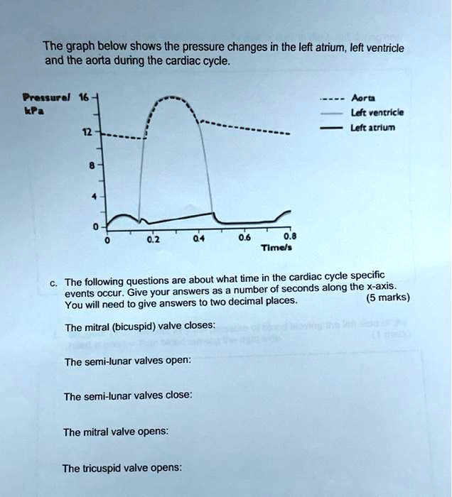 SOLVED The graph below shows the pressure changes in the left atrium