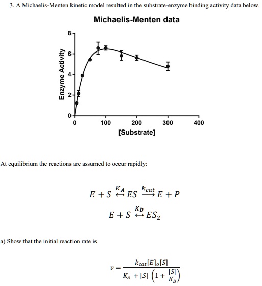 Solved Michaelis Menten Kinelic Model Recuted The Substrate Enzyme