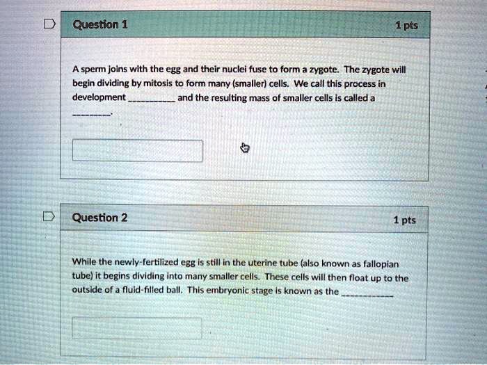 Question 1

A sperm joins with the egg and their nuclei fuse to form a zygote. The zygote will begin dividing by mitosis to form many (smaller) cells. We call this process in development  and the resulting mass of smaller cells is called a .

Question 2

While the newly-fertilized egg is still in the uterine tube (also known as fallopian tube) it begins dividing into many smaller cells. These cells will then float up to the outside of a fluid-filled ball. This embryonic stage is known as the .