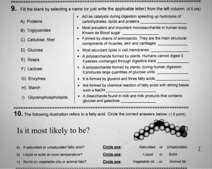 SOLVED 9. Fill the blank by selecting the name (or just write the