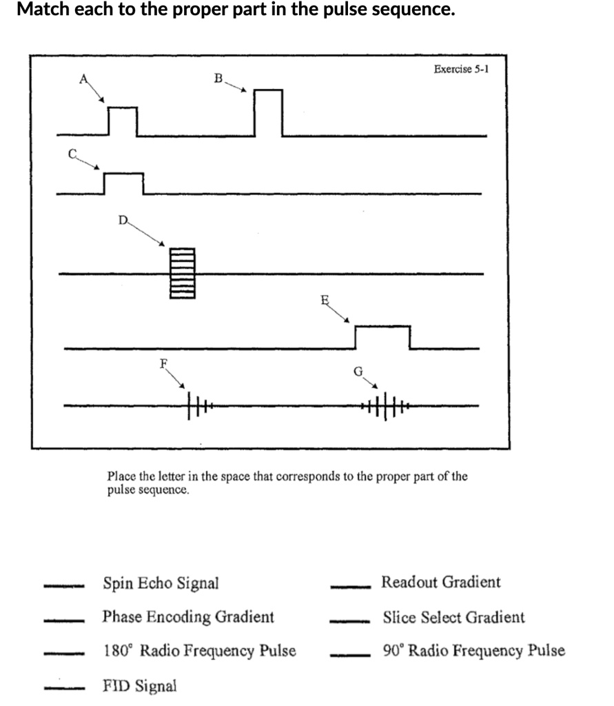 SOLVED Match each to the proper part in the pulse sequence. Place the