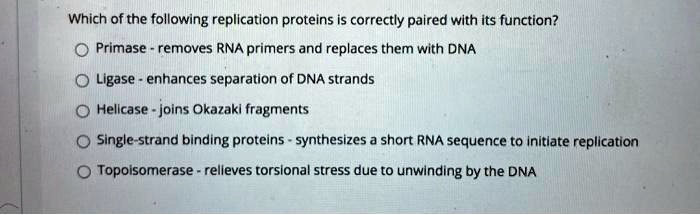 Which of the following replication proteins is correctly paired with its function?
Primase - removes RNA primers and replaces them with DNA
Ligase - enhances separation of DNA strands
Helicase - joins Okazaki fragments
Single-strand binding proteins - synthesizes a short RNA sequence to initiate replication
Topoisomerase - relieves torsional stress due to unwinding by the DNA