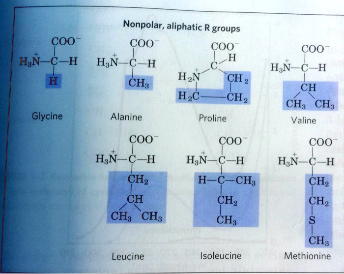 Isoleucine R Group Polarity