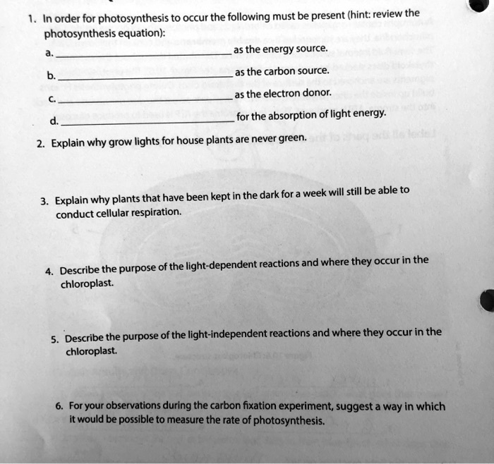 1. In order for photosynthesis to occur the following must be present (hint: review the photosynthesis equation):
a.  as the energy source.
b.  as the carbon source.
c.  as the electron donor.
d.  for the absorption of light energy.
2. Explain why grow lights for house plants are never green.
3. Explain why plants that have been kept in the dark for a week will still be able to conduct cellular respiration.
4. Describe the purpose of the light-dependent reactions and where they occur in the chloroplast.
5. Describe the purpose of the light-independent reactions and where they occur in the chloroplast.
6. For your observations during the carbon fixation experiment, suggest a way in which it would be possible to measure the rate of photosynthesis.