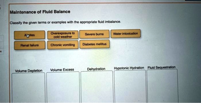 SOLVED Maintenance Of Fluid Balance Classify The Given Terms Or