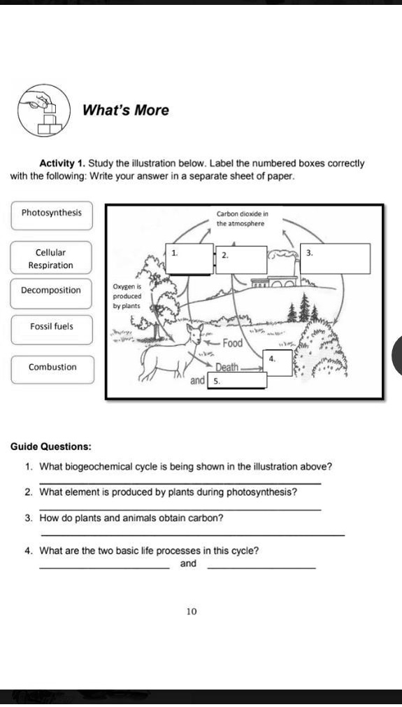 SOLVED: Labeled the number boxes correctly with the following, please ...