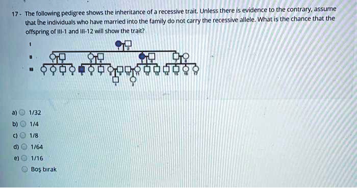 17 - The following pedigree shows the inheritance of a recessive trait. Unless there is evidence to the contrary, assume that the individuals who have married into the family do not carry the recessive allele. What is the chance that the offspring of III-1 and III-12 will show the trait?
a) 1/32
b) 1/4
c) 1/8
d) 1/64
e) 1/16