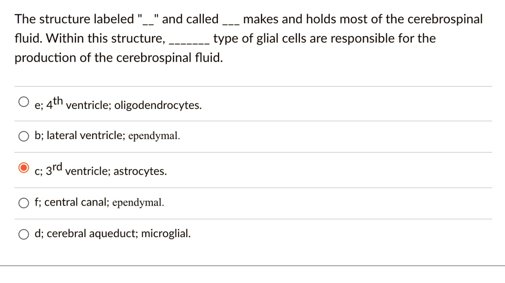 The structure labeled "" and called  makes and holds most of the cerebrospinal fluid. Within this structure,  type of glial cells are responsible for the production of the cerebrospinal fluid.

e; 4th ventricle; oligodendrocytes.
b; lateral ventricle; ependymal.
c; 3rd ventricle; astrocytes.
f; central canal; ependymal.
d; cerebral aqueduct; microglial.