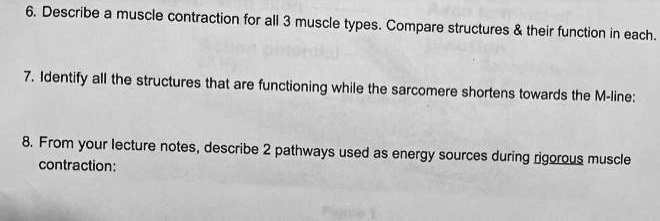 6. Describe a muscle contraction for all 3 muscle types. Compare structures     their function in each.

7. Identify all the structures that are functioning while the sarcomere shortens towards the M-line:

8. From your lecture notes, describe 2 pathways used as energy sources during rigorous muscle contraction: