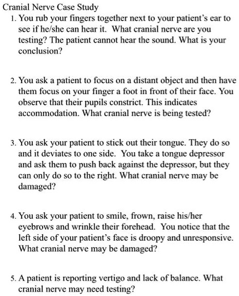 Wavio see sound case study picture