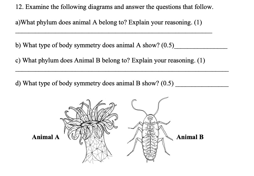SOLVED: 'Biology Grade 12 , Unit-The Animal Kingdom 12. Examine the  following diagrams and answer the questions that follow a)What phylum does  animal belong to? Explain your reasoning: (1) b) What type