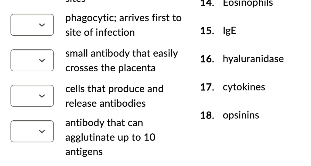 SOLVED 14. Eosinophils phagocytic; arrive first to 15. IgE small