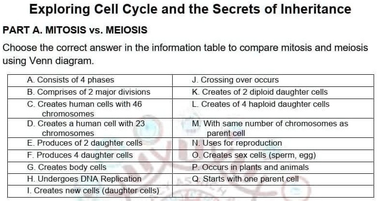 compare contrast mitosis and meiosis