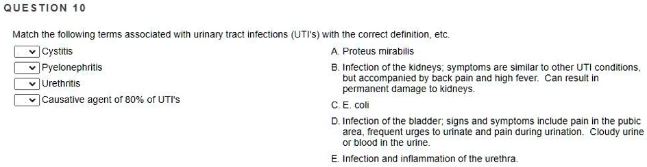 QUESTION 10

Match the following terms associated with urinary tract infections (UTI's) with the correct definition, etc.

Cystitis
Pyelonephritis
Urethritis
Causative agent of 80% of UTI's

A. Proteus mirabilis
B. Infection of the kidneys; symptoms are similar to other UTI conditions, but accompanied by back pain and high fever. Can result in permanent damage to kidneys.
C. E. coli
D. Infection of the bladder; signs and symptoms include pain in the pubic area, frequent urges to urinate and pain during urination. Cloudy urine or blood in the urine.
E. Infection and inflammation of the urethra.