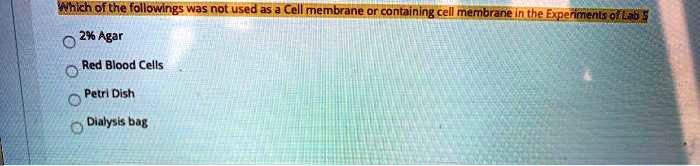 The autobiography of red analysis image