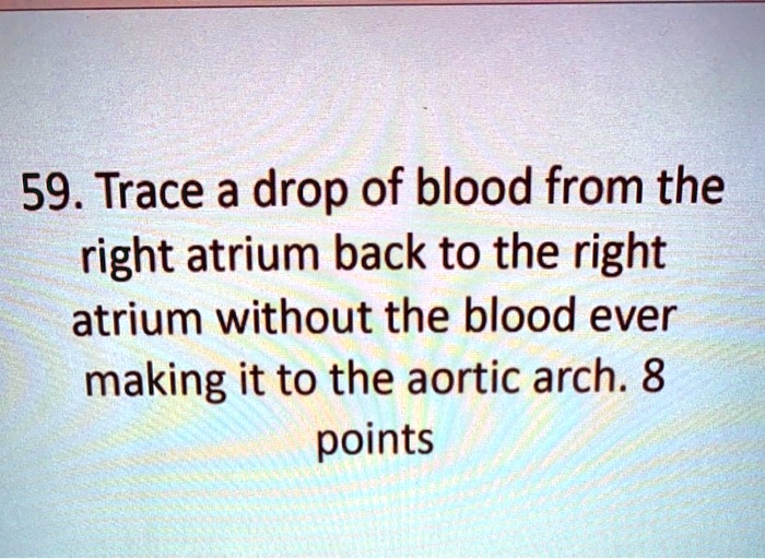 SOLVED 59.Trace a drop of blood from the right atrium back to the