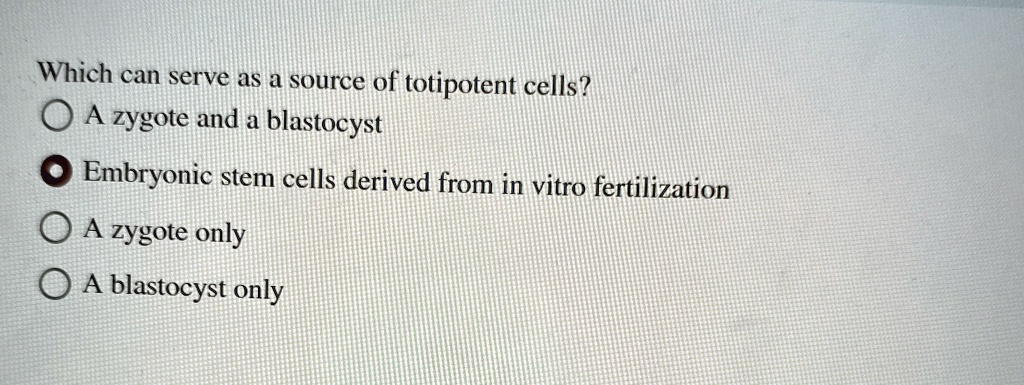 Which can serve as a source of totipotent cells?
A zygote and a blastocyst
Embryonic stem cells derived from in vitro fertilization
A zygote only
A blastocyst only