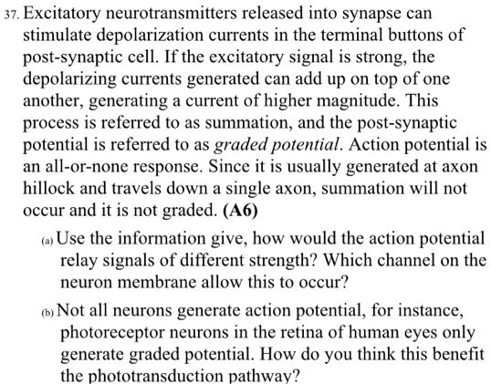 37. Excitatory neurotransmitters released into synapse can stimulate depolarization currents in the terminal buttons of post-synaptic cell. If the excitatory signal is strong, the depolarizing currents generated can add up on top of one another, generating a current of higher magnitude. This process is referred to as summation, and the post-synaptic potential is referred to as graded potential. Action potential is an all-or-none response. Since it is usually generated at axon hillock and travels down a single axon, summation will not occur and it is not graded. (A6)

(a) Use the information give, how would the action potential relay signals of different strength? Which channel on the neuron membrane allow this to occur?

(b) Not all neurons generate action potential, for instance, photoreceptor neurons in the retina of human eyes only generate graded potential. How do you think this benefit the phototransduction pathway?