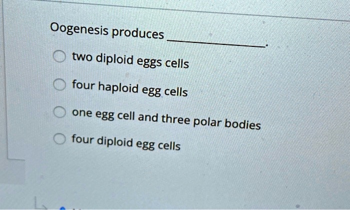 Oogenesis produces
two diploid eggs cells
four haploid egg cells
one egg cell and three polar bodies
four diploid egg cells