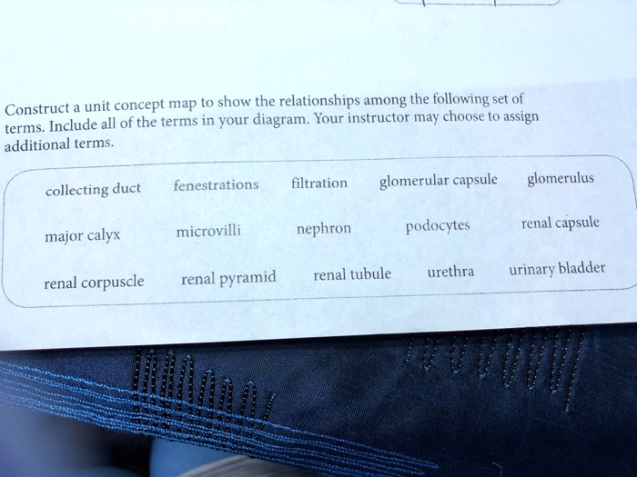 Solved: Additional Terms: - Fenestrations - Filtration - Glomerular 