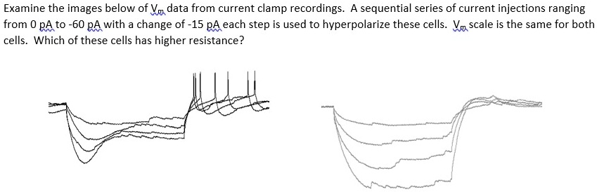 Examine the images below of Vm data from current clamp recordings. A sequential series of current injections ranging from 0 pA to -60 pA with a change of -15 pA each step is used to hyperpolarize these cells. Vm scale is the same for both cells. Which of these cells has higher resistance?