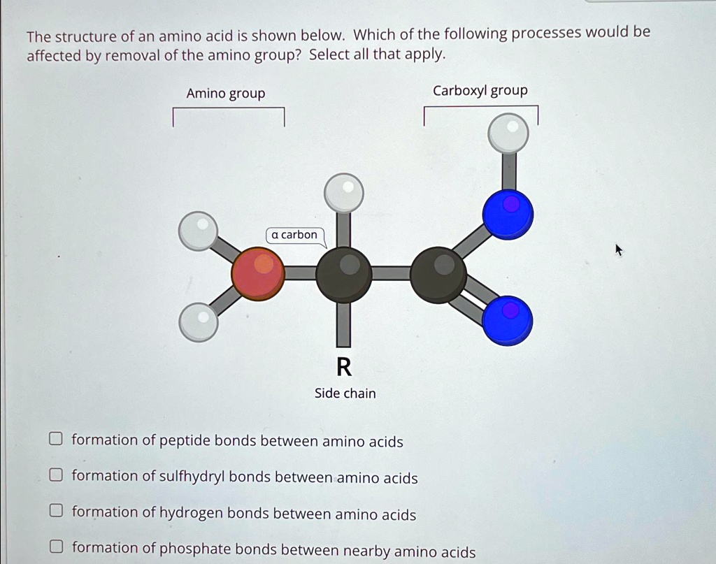 The structure of an amino acid is shown below. Which of the...