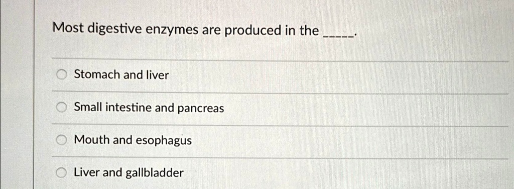 Most Digestive Enzymes Are Produced By The SOLVED: Most digestive enzymes are produced in the Stomach and liver