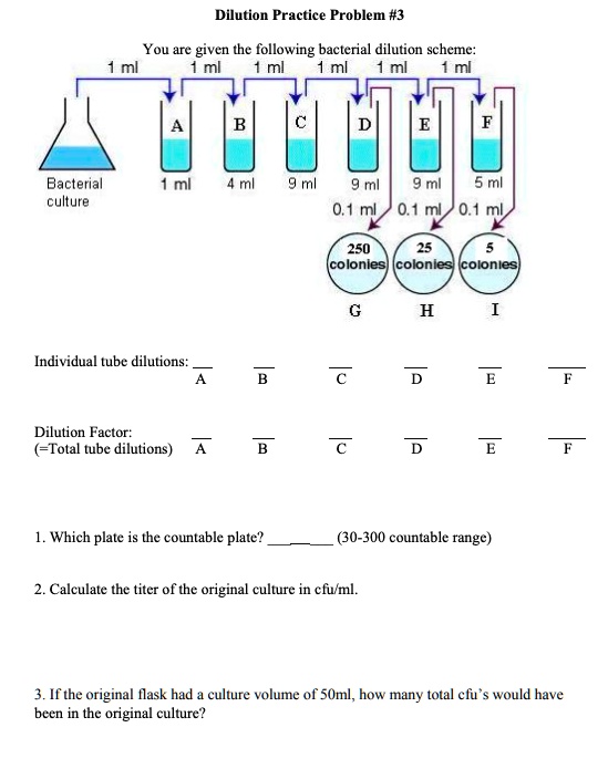 Dilution Practice Problem #3
You are given the following bacterial dilution scheme:
1 ml
1 ml
1 ml
1 ml
1 ml
A
B
C
D
E
F
Bacterial
culture
1 ml
4 ml
9 ml
9 ml
9 ml
5 ml
0.1 ml
0.1 ml
0.1 ml
250
25
5
colonies
colonies
colonies
G
H
I
Individual tube dilutions:
A
B
C
D
E
F
Dilution Factor:
(=Total tube dilutions)
A
B
C
D
E
F
1. Which plate is the countable plate?
(30-300 countable range)
2. Calculate the titer of the original culture in cfu/ml.
3. If the original flask had a culture volume of 50ml, how many total cfu's would have
been in the original culture?