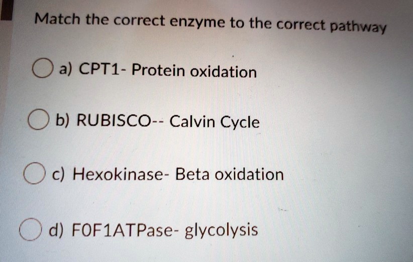 SOLVED: Match The Correct Enzyme To The Correct Pathway: A) CPT1 ...