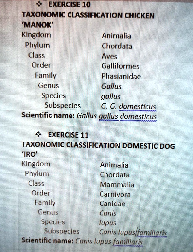 SOLVEDEXERCISE 10 TAXONOMIC CLASSIFICATION CHICKEN 'MANOK' Kingdom