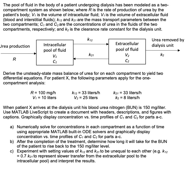 water-balance-in-human-body