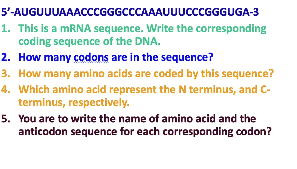 SOLVED 5'AUGUUUAAACCCGGGCCCAAAUUUCCCGGGUGA3 14 This is a mRNA