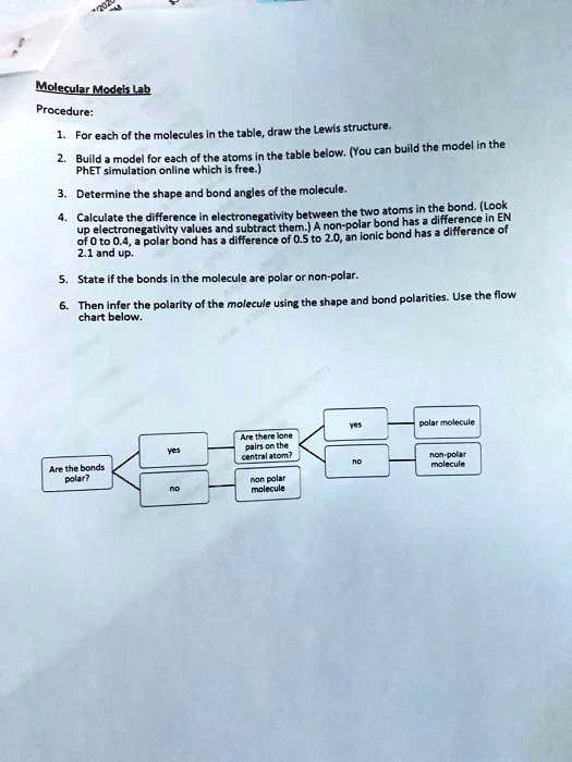 SOLVED Molecular Modeling Procedure For each of the molecules in the
