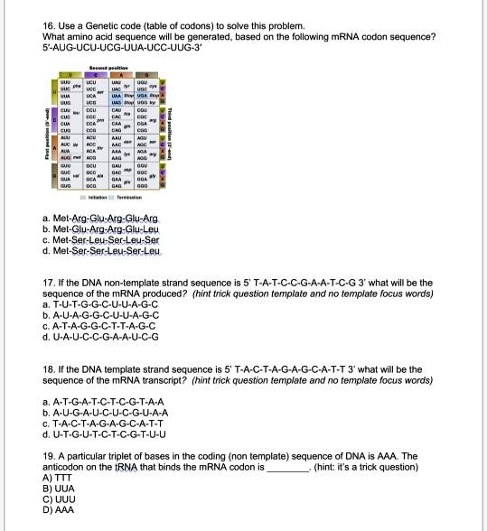 16. Use a Genetic code (table of codons) to solve this problem.
What amino acid sequence will be generated, based on the following mRNA codon sequence?
5'-AUG-UCU-UCG-UUA-UCC-UUG-3'

a. Met-Arg-Glu-Arg-Glu-Arg
b. Met-Glu-Arg-Arg-Glu-Leu
c. Met-Ser-Leu-Ser-Leu-Ser
d. Met-Ser-Ser-Leu-Ser-Leu

17. If the DNA non-template strand sequence is 5' T-A-T-C-C-G-A-A-T-C-G 3' what will be the sequence of the mRNA produced? (hint trick question template and no template focus words)
a. T-U-T-G-G-C-U-U-A-G-C
b. A-U-A-G-G-C-U-U-A-G-C
c. A-T-A-G-G-C-T-T-A-G-C
d. U-A-U-C-C-G-A-A-U-C-G

18. If the DNA template strand sequence is 5' T-A-C-T-A-G-A-G-C-A-T-T 3' what will be the sequence of the mRNA transcript? (hint trick question template and no template focus words)
a. A-T-G-A-T-C-T-C-G-T-A-A
b. A-U-G-A-U-C-U-C-G-U-A-A
c. T-A-C-T-A-G-A-G-C-A-T-T
d. U-T-G-U-T-C-T-C-G-T-U-U

19. A particular triplet of bases in the coding (non template) sequence of DNA is AAA. The anticodon on the tRNA that binds the mRNA codon is . (hint: it's a trick question)
A) TTT
B) UUA
C) UUU
D) AAA
