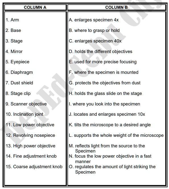 SOLVED: 'Match The Parts Of The Compound Microscope In Column A With ...