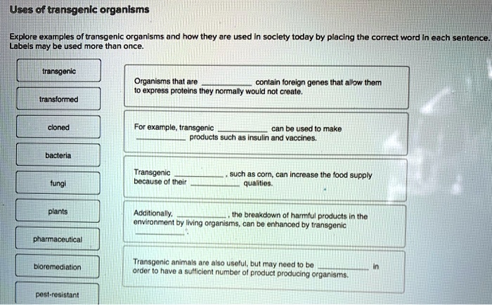 SOLVED: Uses of transgenlc organisms Explore examples of transgenic ...