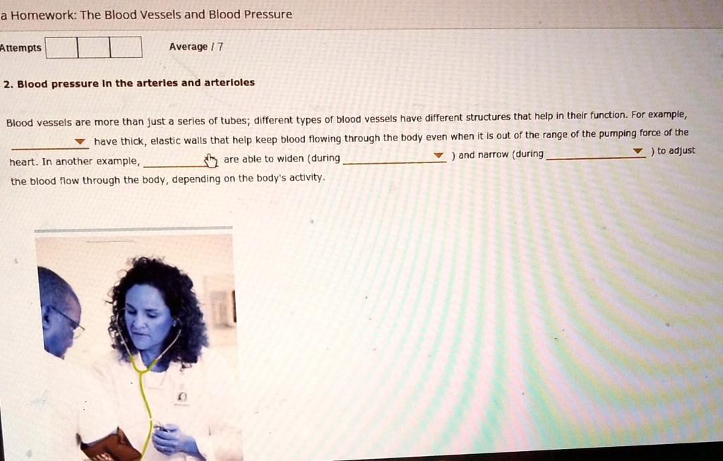 2. Blood pressure in the arteries and arterioles

Blood vessels are more than just a series of tubes; different types of blood vessels have different structures that help in their function. For example,  have thick, elastic walls that help keep blood flowing through the body even when it is out of the range of the pumping force of the heart. In another example,  are able to widen (during ) and narrow (during ) to adjust the blood flow through the body, depending on the body's activity.
