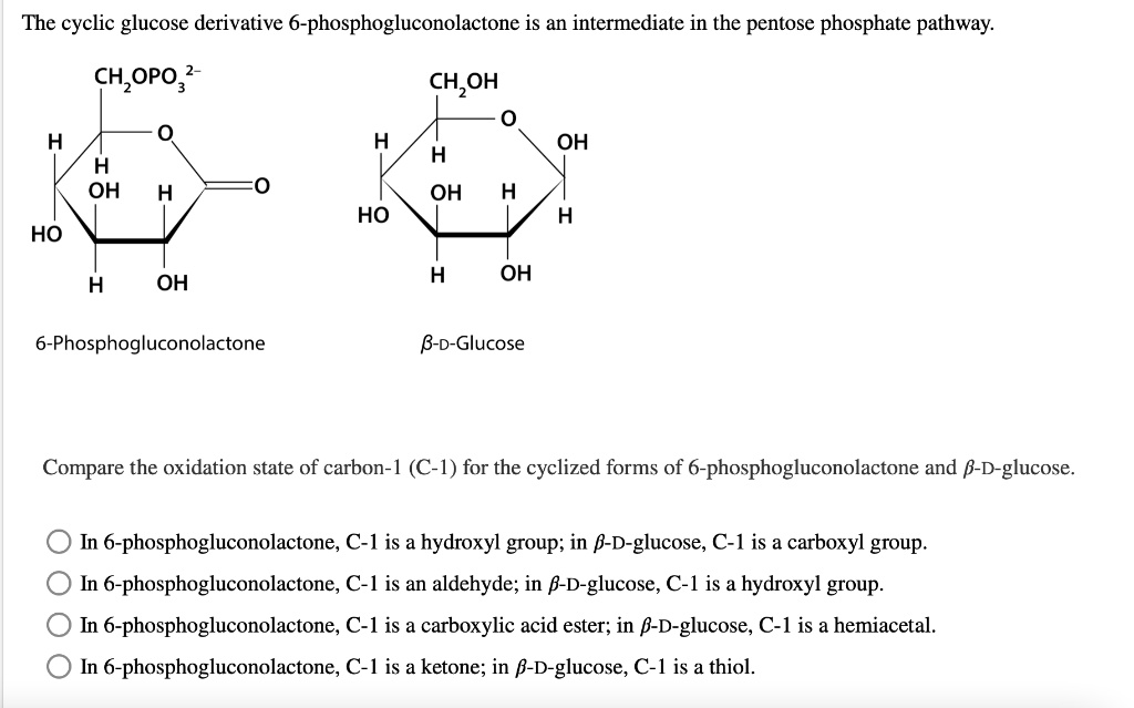 The cyclic glucose derivative 6-phosphogluconolactone is an intermediate in the pentose phosphate pathway.
6-Phosphogluconolactone
?-D-Glucose
Compare the oxidation state of carbon-1 (C-1) for the cyclized forms of 6-phosphogluconolactone and ?-D-glucose.
In 6-phosphogluconolactone, C-1 is a hydroxyl group; in ?-D-glucose, C-1 is a carboxyl group.
In 6-phosphogluconolactone, C-1 is an aldehyde; in ?-D-glucose, C-1 is a hydroxyl group.
In 6-phosphogluconolactone, C-1 is a carboxylic acid ester; in ?-D-glucose, C-1 is a hemiacetal.
In 6-phosphogluconolactone, C-1 is a ketone; in ?-D-glucose, C-1 is a thiol.